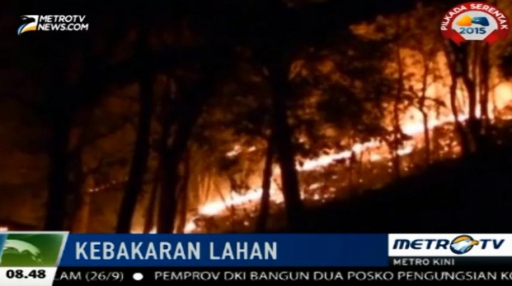 Puluhan Hektare Lahan di Polewali Mandar Terbakar