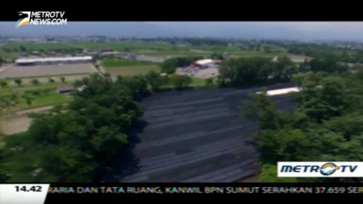 Daio Wasabi Farm, Perkebunan Wasabi Terbesar di Jepang