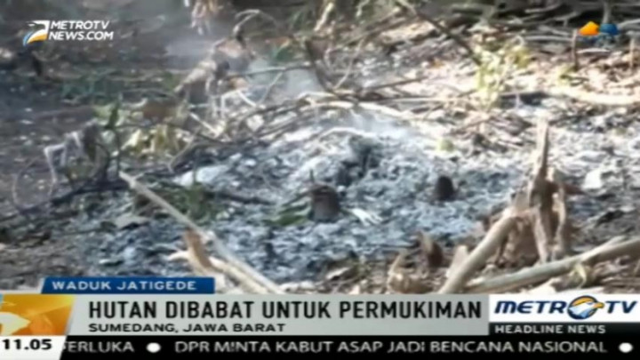 Warga Terdampak Waduk Jatigede Bakar Hutan untuk Bangun Permukiman