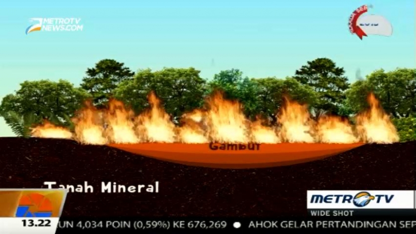 Sulit Padam, Ini Karakteristik Lahan Gambut