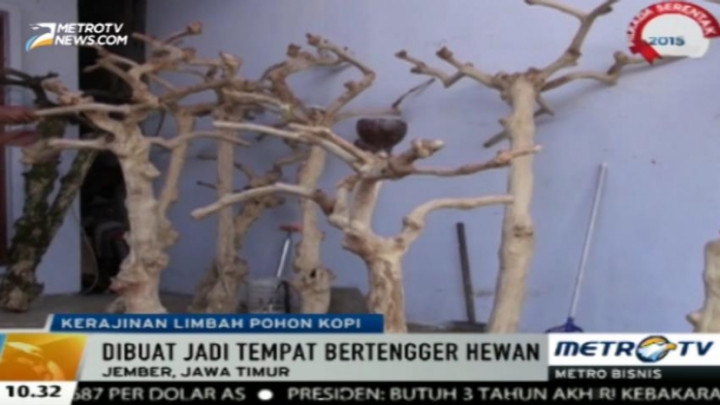 Pengrajin di Jember Sulap Limbah Pohon Kopi Jadi <i>Java Tree</i> 