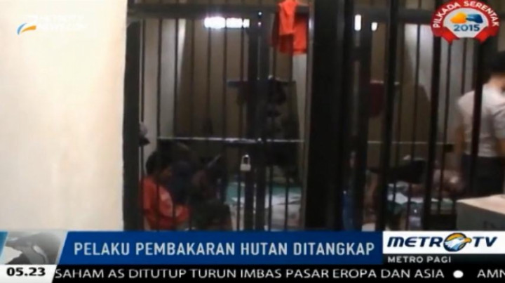 24 Pelaku Pembalakan Liar dan Pembakaran Hutan Dibekuk