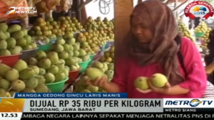 Buah Mangga Gedong Gincu Laris Manis Diborong Pembeli untuk Oleh-oleh  