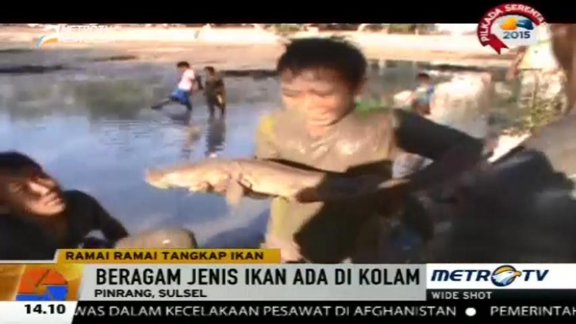 Berkah Kemarau, Sejumlah Anak Tangkap Ikan dengan Tangan Kosong