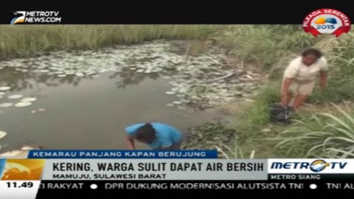 Kekeringan, Warga Mamuju Terpaksa Konsumsi Air Bercampur Lumpur