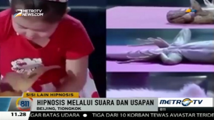 Bocah 5 Tahun Mampu Hipnotis 5 Hewan Sekaligus
