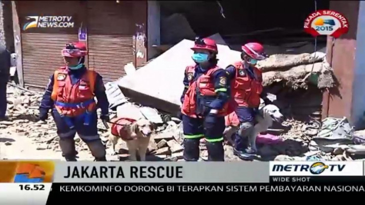 Ini Kelebihan Tim SAR Dog Jakarta Rescue