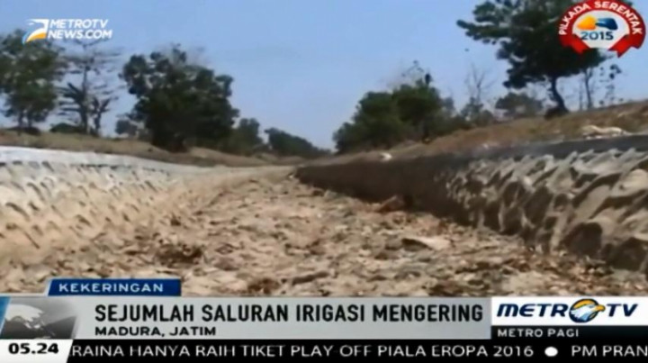 Wilayah Sampang-Madura Dilanda Kekeringan