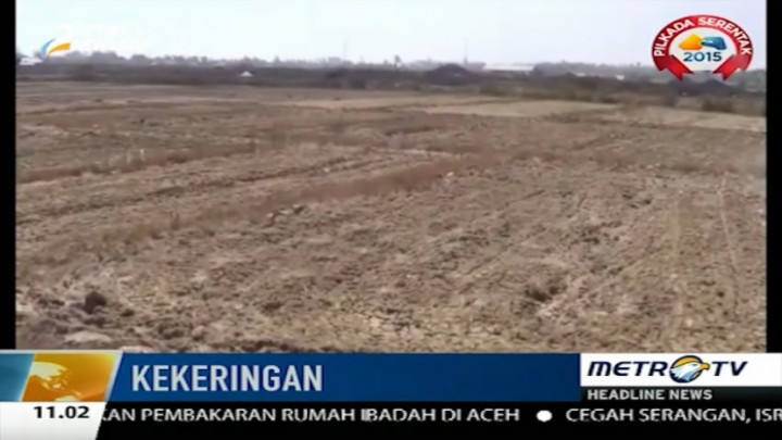  Puluhan Hektare Tambak Garam di Rembang Kekeringan 