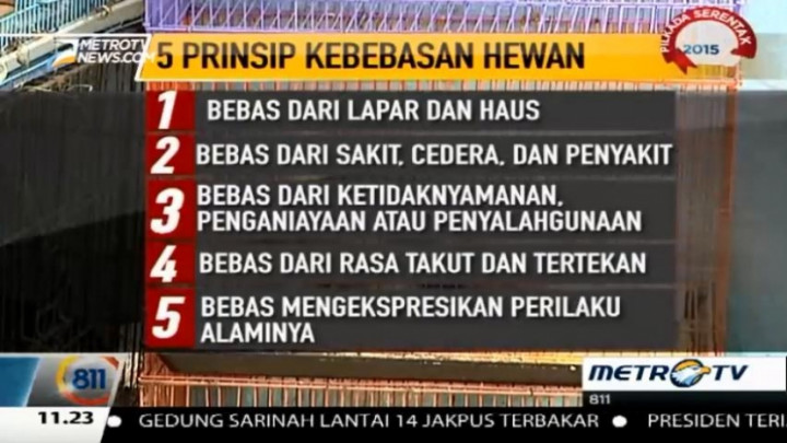  Jakarta Animal AID Imbau Jangan Lagi Datang ke Sirkus yang Menggunakan Satwa 