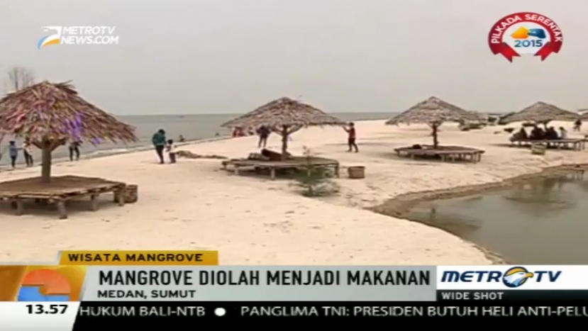  Serunya Wisata Edukasi & Konservasi Tanaman Mangrove