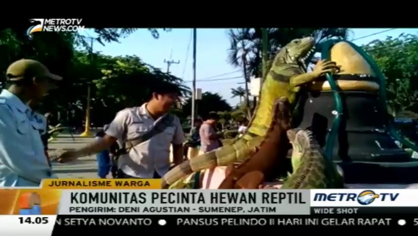 Komunitas Pecinta Reptil di Madura 