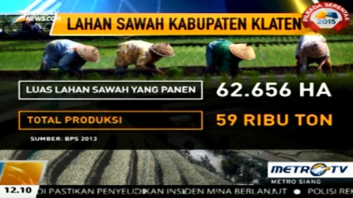 Impor Beras Dihentikan, Harga Gabah Stabil