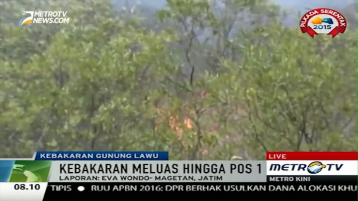 Lokalisir Kebakaran, Tim Buat Sekat Bakar di Gunung Lawu