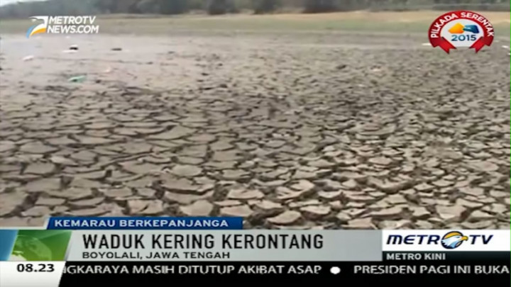 Waduk Bade di Boyolali Kering Kerontang