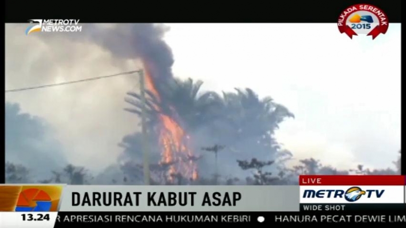 Ratusan Hektare Hutan Lindung di Luwu Timur Ikut Terbakar