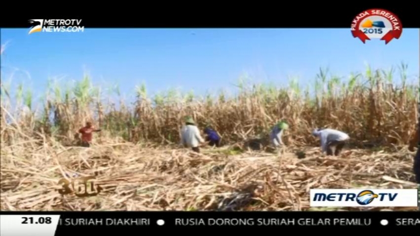  Melepas Gengsi Menjadi Petani