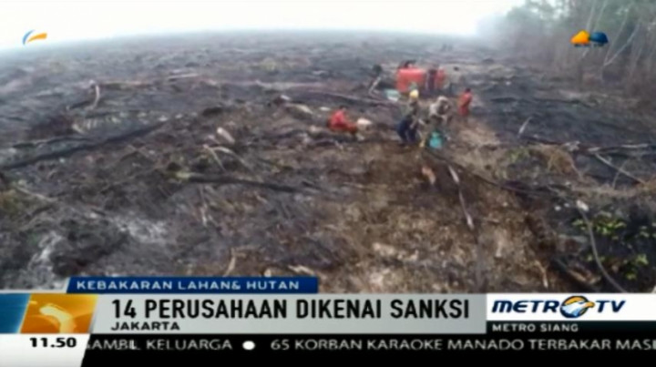14 Perusahaan Pembakar Lahan Diberi Sanksi