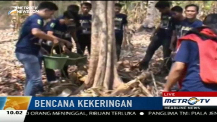 Kekeringan, Ratusan Pohon Duku Komering Terancam Mati
