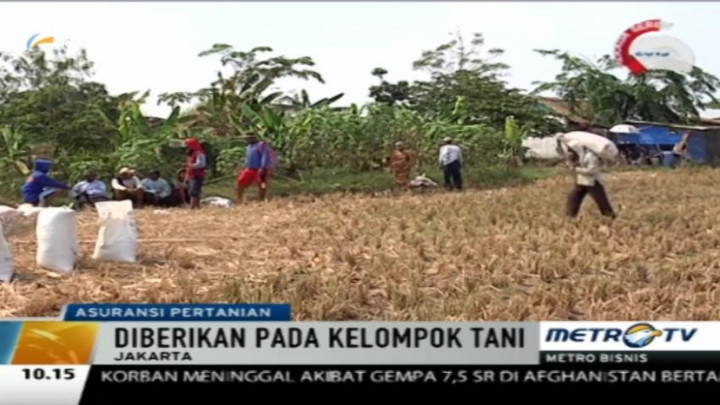 OJK Beri Asuransi Pertanian untuk 1 Juta Hektare Sawah