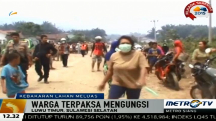 Kebakaran Lahan di Luwu Timur Meluas, Warga Terpaksa Mengungsi