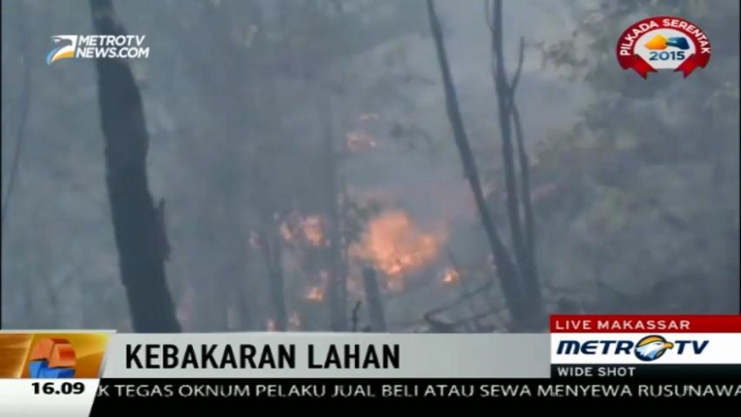 Kebakaran Lahan dan Hutan di Luwu Timur Belum Bisa Dipadamkan