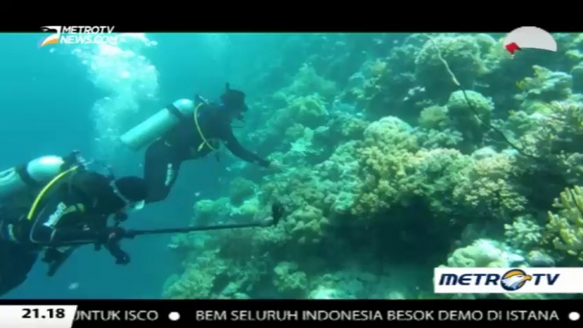 Segitiga Terumbu Karang Dunia (2)