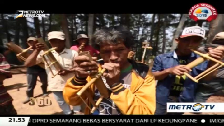 Mereka yang Gelisah akan Ancaman Kepunahan Pongke