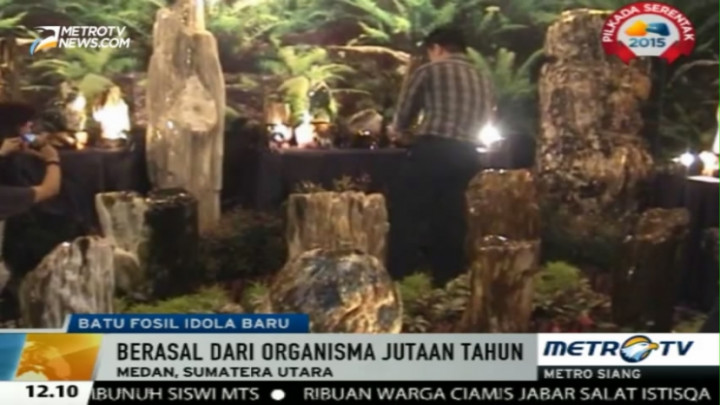 Demam Batu Akik Redup, Batu Fosil Kini Digemari