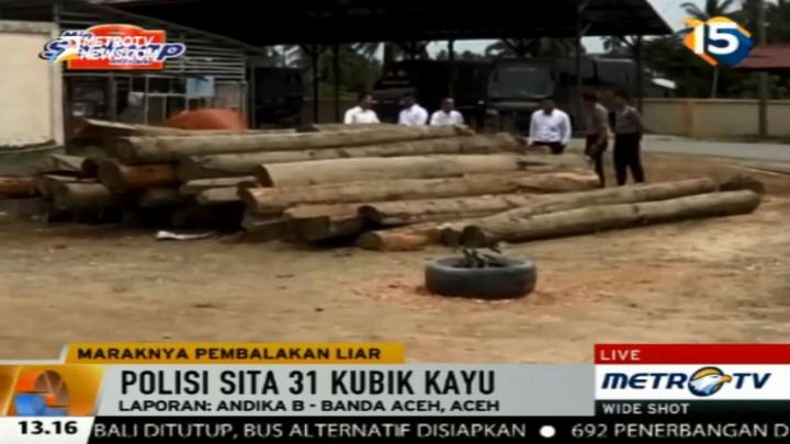 Polisi Temukan 31 Kubik Kayu Gelondongan Hasil Pembalakan Liar di Aceh