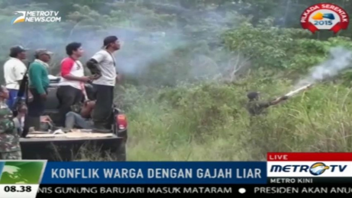 Masuk Permukiman, Warga Giring Gajah Liar dengan Petasan