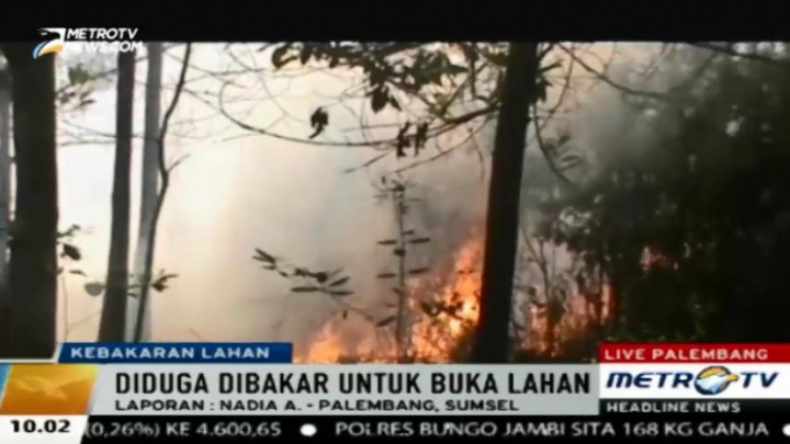 80 Hektare Perkebunan Karet Milik Warga Terbakar