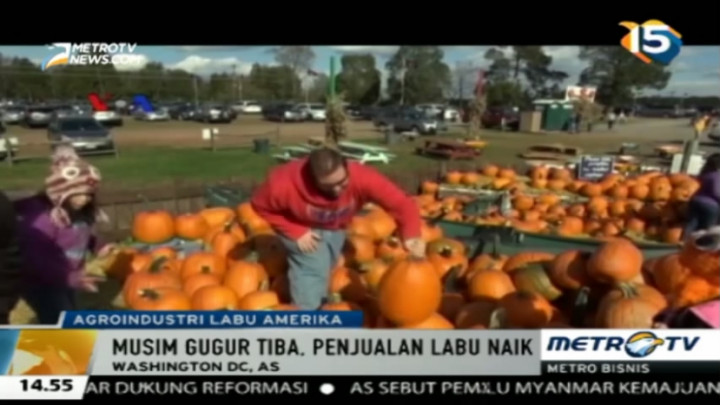 Musim Gugur Tiba, Penjualan Labu di Amerika Naik