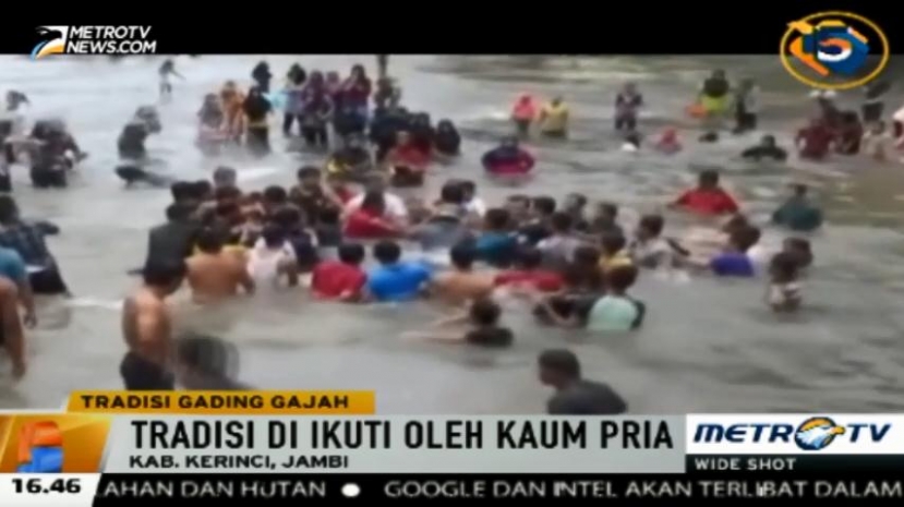 20 Tahun Menghilang, Tradisi Pemandian Gading Gajah Kembali Digelar