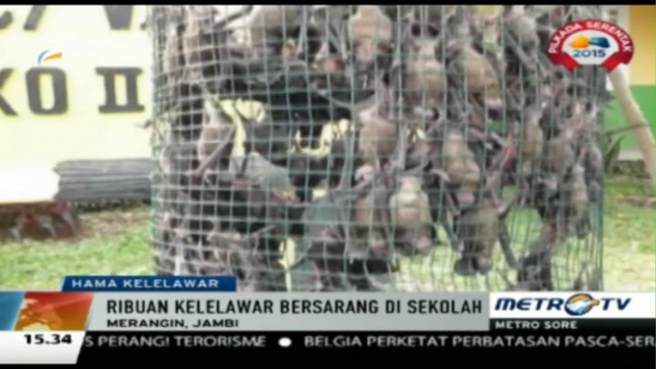 Jadi Sarang Ribuan Kelelawar, Atap Sekolah Nyaris Roboh