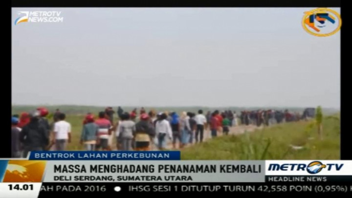 Ratusan Penggarap Bentrok dengan Petugas Keamanan Kebun PTPN II