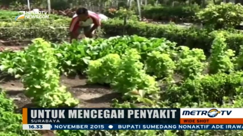 Menengok Kampung Organik di Kawasan Kediri