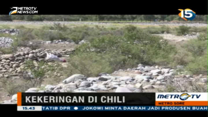 Kekeringan Ancam Produktivitas Sektor Pertanian Chile 