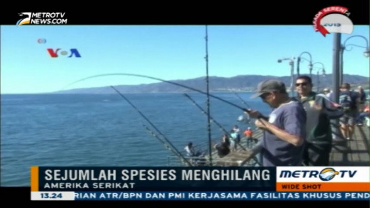 El-Nino Berdampak Positif Bagi Sektor Perikanan AS 