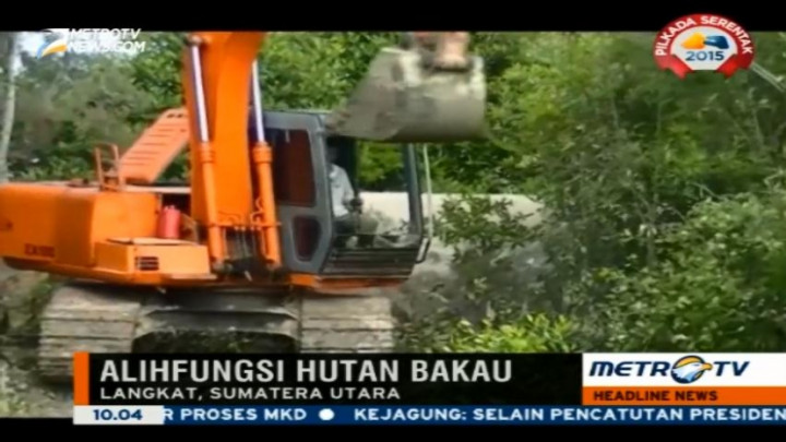 Petugas Kembali Lakukan Penertiban Perkebunan Liar di Sumut