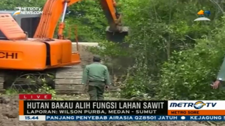 Tim Gabungan Pulihkan 70 Hektare Lahan Hutan Mangrove di Langkat  