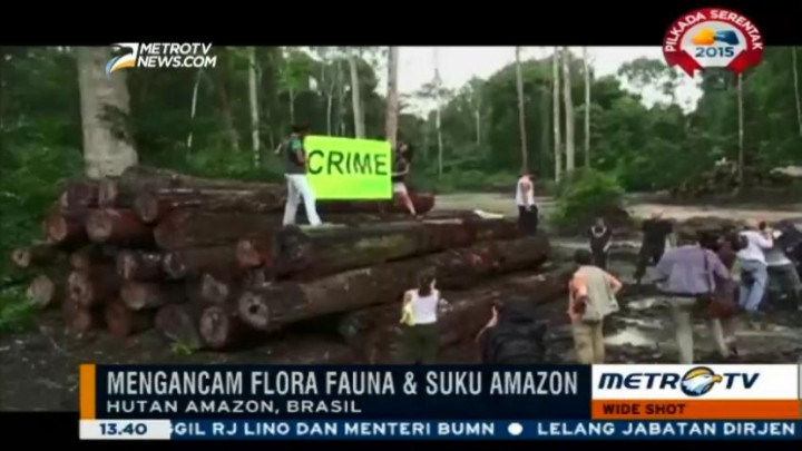 Brasil Hadapi Pembalakan Liar di Hutan Amazon 