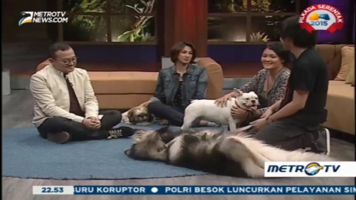 My Pets My Soulmate (2)