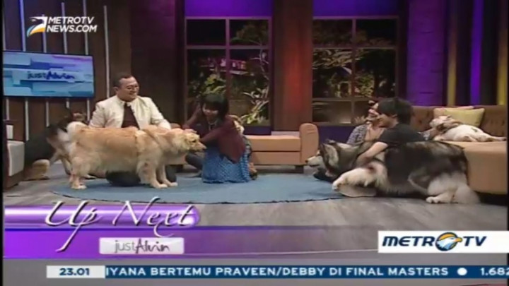 My Pets My Soulmate (3)