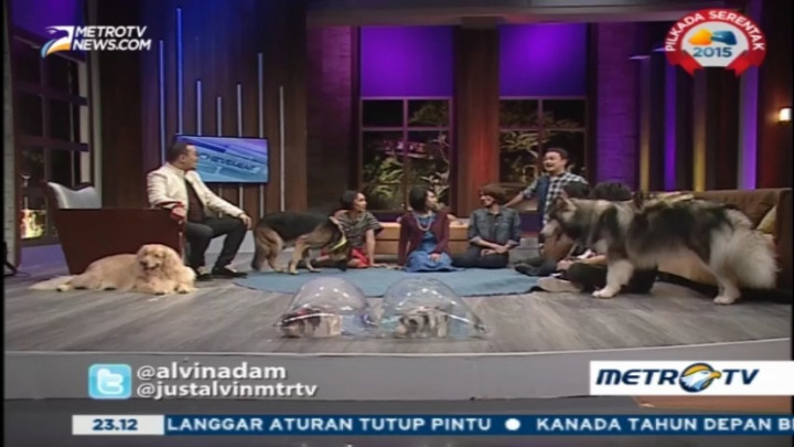 My Pets My Soulmate (4)