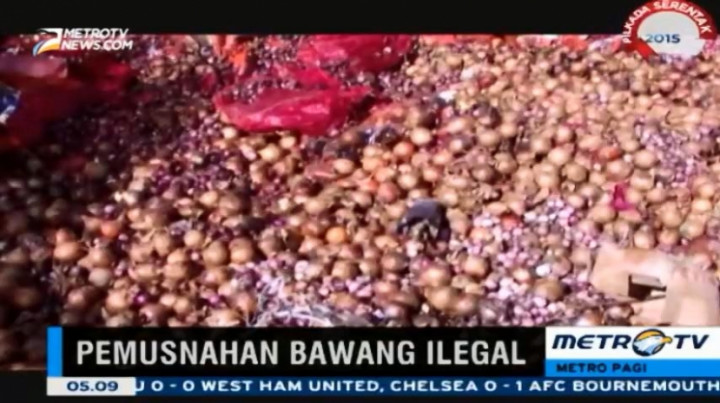 35 Ton Bawang Merah dan Bawang Bombay Ilegal Dimusnahkan