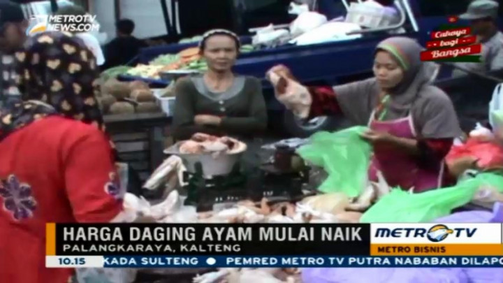 Harga Ayam Potong di Palangka Raya Naik 100 Persen