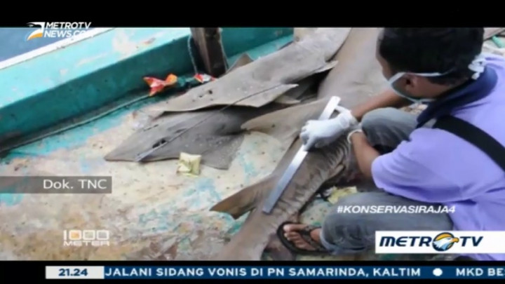 Mengawal Lautan di Misool Selatan (3)