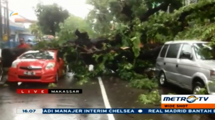 Tiga Buah Mobil Rusak Parah Tertimpa Pohon Tumbang