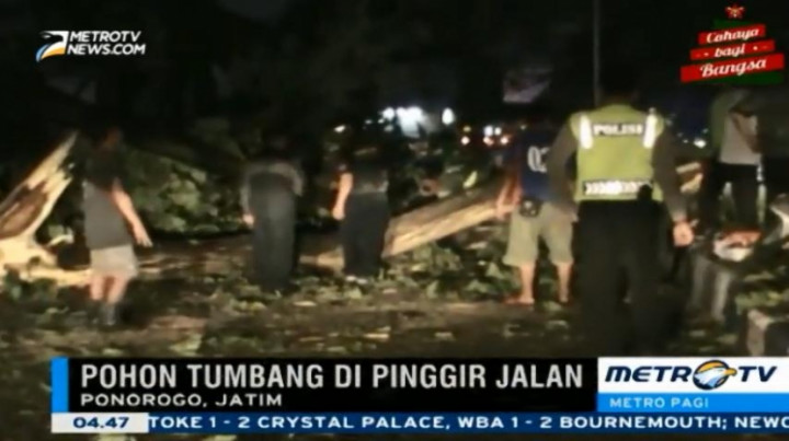 Sebuah Pohon Tumbang Diterjang Angin Kencang di Jalur Ponorogo-Madiun